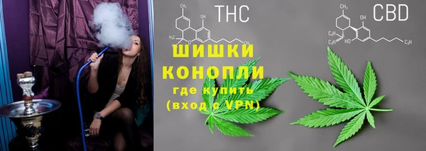 метадон Арсеньев