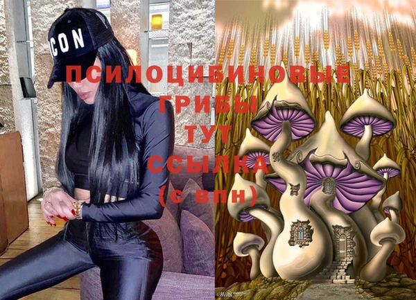 сатива Балахна