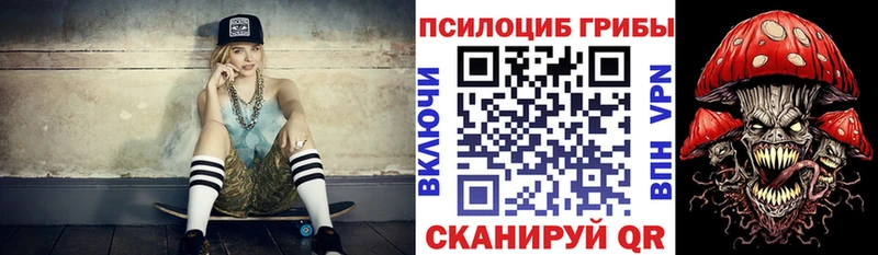Псилоцибиновые грибы прущие грибы цены Белый
